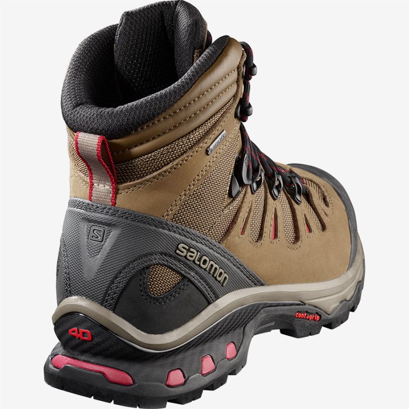 Botas salomon best sale 4d gtx